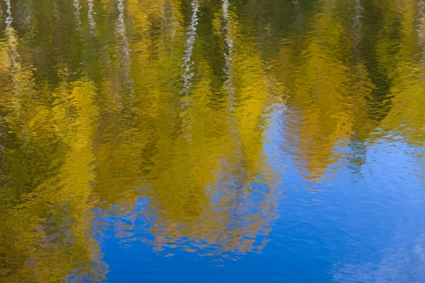 Cor da água do outono — Fotografia de Stock