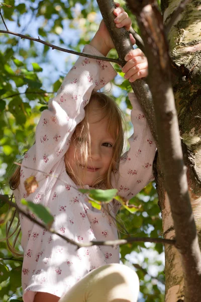 On a tree — Stock Photo, Image