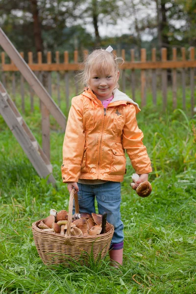 Menina com uma cesta de abóbora — Fotografia de Stock