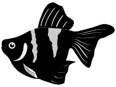 Aquarian fish clipart