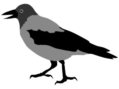 Walking crow clipart