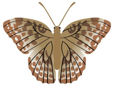 Silver-washed Fritillary butterfly clipart