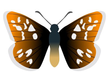 Syrichtus malvae butterfly clipart