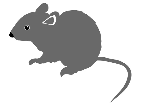 Rato cinzento — Vetor de Stock