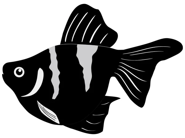 Vattenfisk — Gratis stockfoto