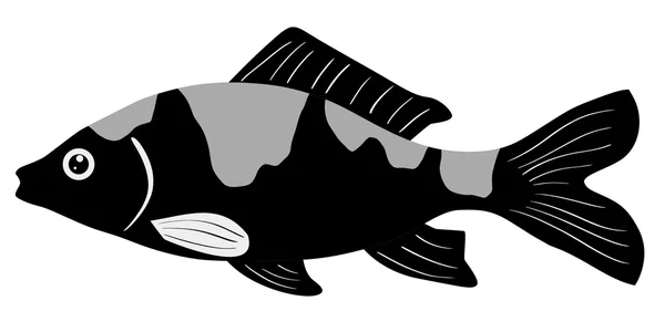 Kova balık — Stok Vektör