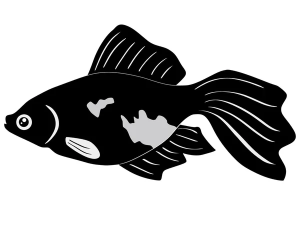 Kova balık — Stok Vektör