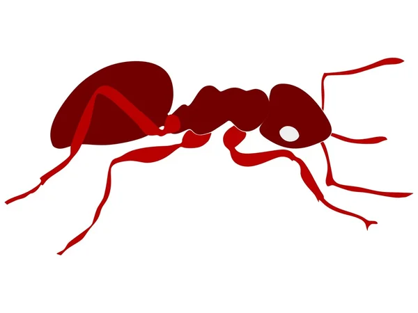 Hormiga roja — Vector de stock