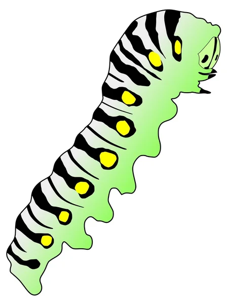 Caterpillar — Stock Vector