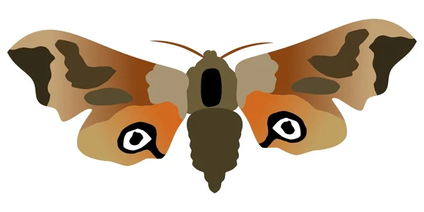 Mariposa ojo halcón polilla — Vector de stock