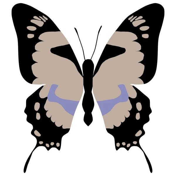 Butterfly eurytides dolicaon deileon — Stock Vector