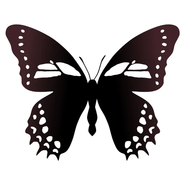 Butterfly papilio aristeus bitias — Stock Vector