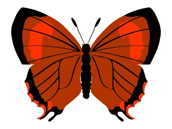 Hnědá hairstreak motýl — Stockový vektor