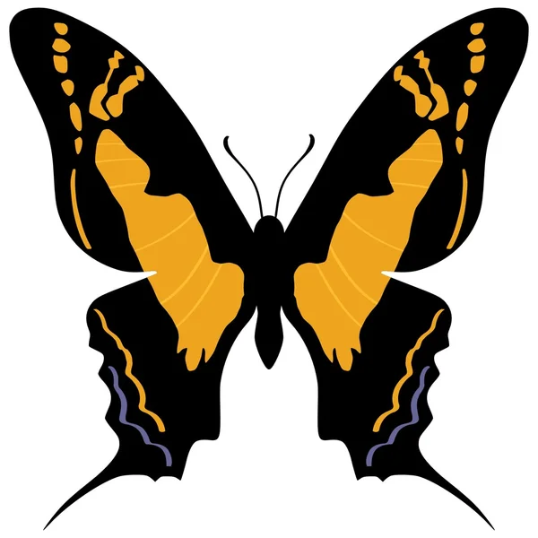 Farfalla coda di rondine — Vettoriale Stock