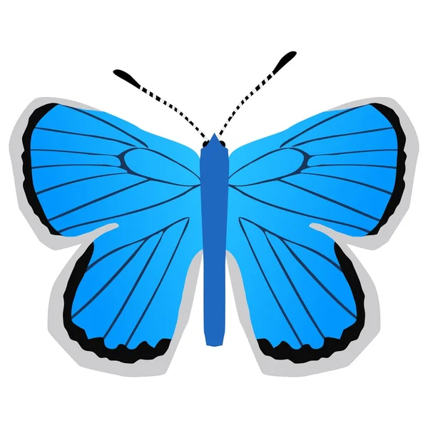 Stříbro hustě modrý motýl — Stockový vektor