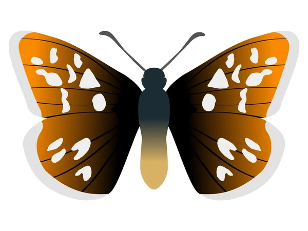 Syrichtus malvae 蝴蝶 — 图库矢量图片