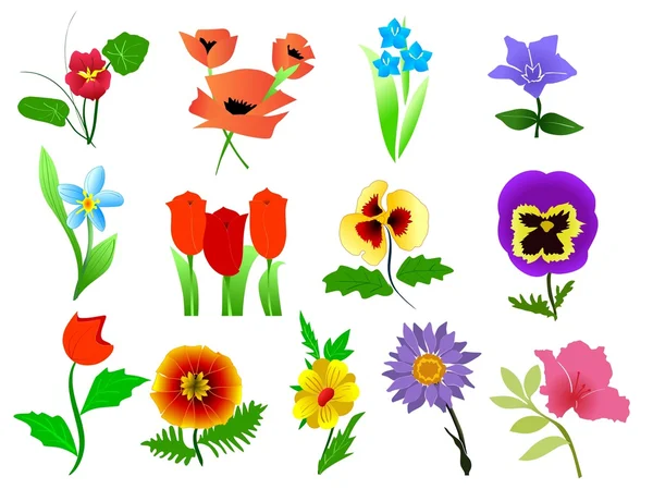 Vector collection of beautiful flowers — Wektor stockowy