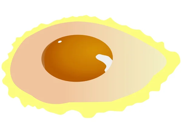 Fried Egg — Stock Vector