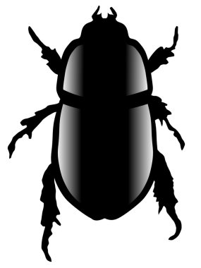 Scarab beetle clipart
