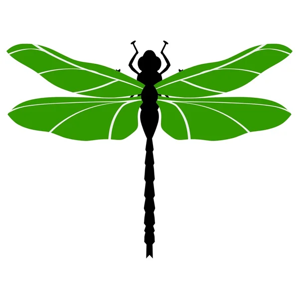 Dragonfly — Vector de stoc