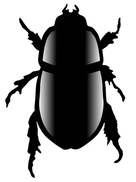 Besouro-escaravelho — Vetor de Stock