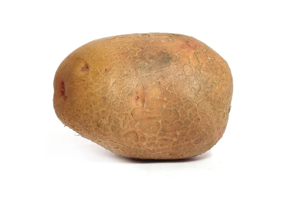 하얀 배경의 감자 — 스톡 사진