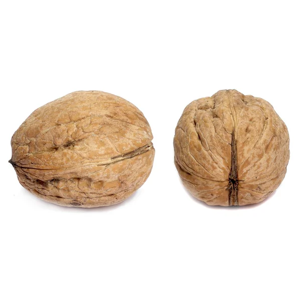 Walnut on white — Stock Photo, Image