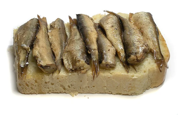 stock image Sprats in oil on white background