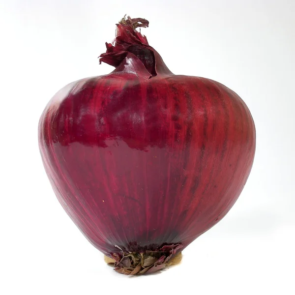 Cebolla roja — Foto de Stock