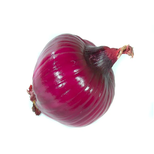 Cipolla rossa — Foto Stock