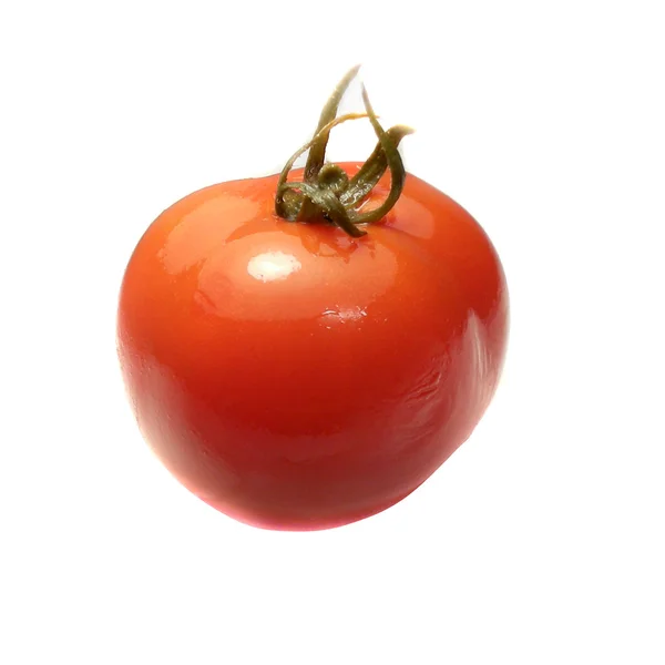 Marinaded tomato — Stock Photo, Image