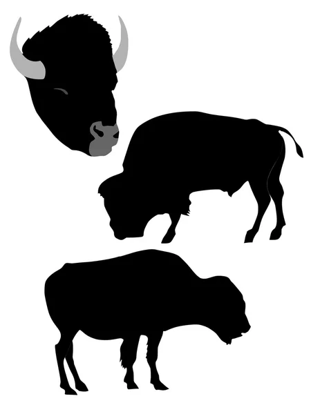 Silueta de bisonte — Vector de stock