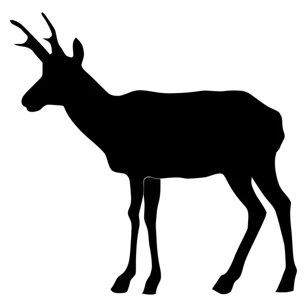 Silhouette dell'antilope — Vettoriale Stock