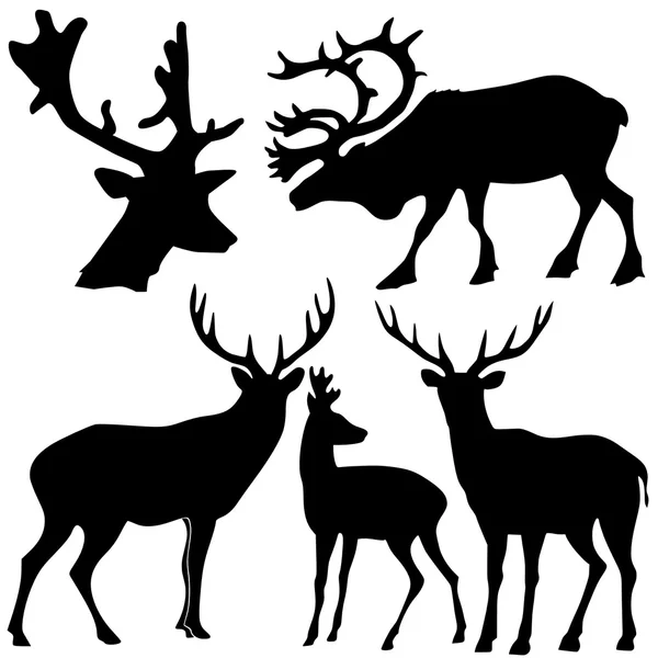 Set of different kind of deer — Stock Vector