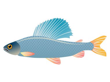 Grayling clipart