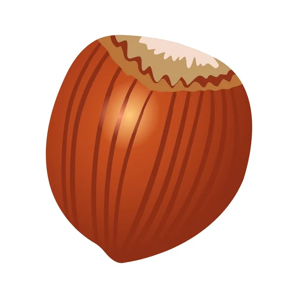 Деревянный орех — стоковый вектор