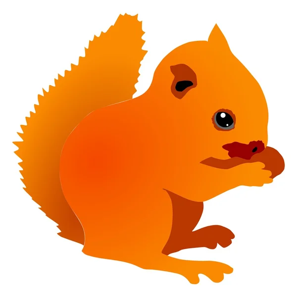 Petit écureuil — Image vectorielle