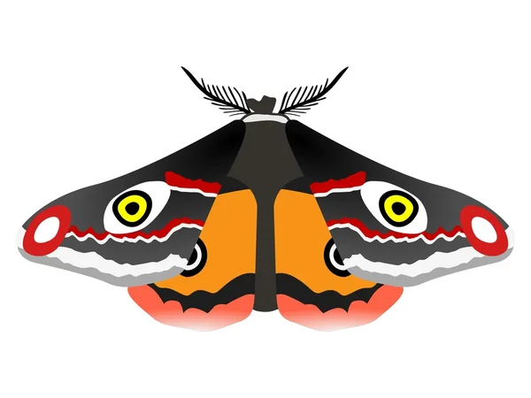 Emperor moth — Stock Vector