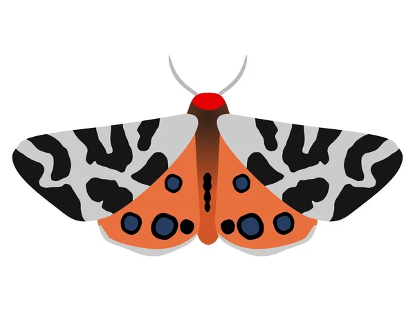 Garden tiger butterfly — Stock Vector