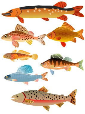 Set of fishes clipart