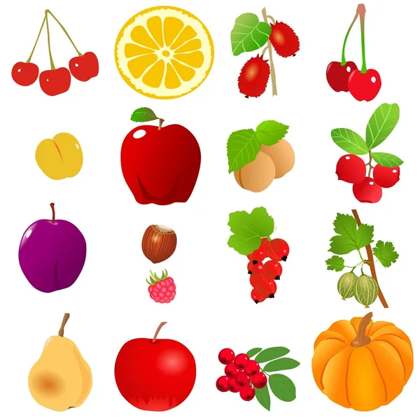 Zbiór owoców — Wektor stockowy