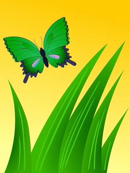 Compoziție cu fluture — Vector de stoc