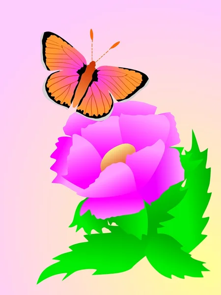 Compoziție cu fluture — Vector de stoc