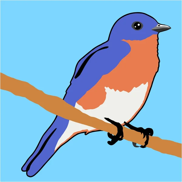 Pássaro azul — Vetor de Stock