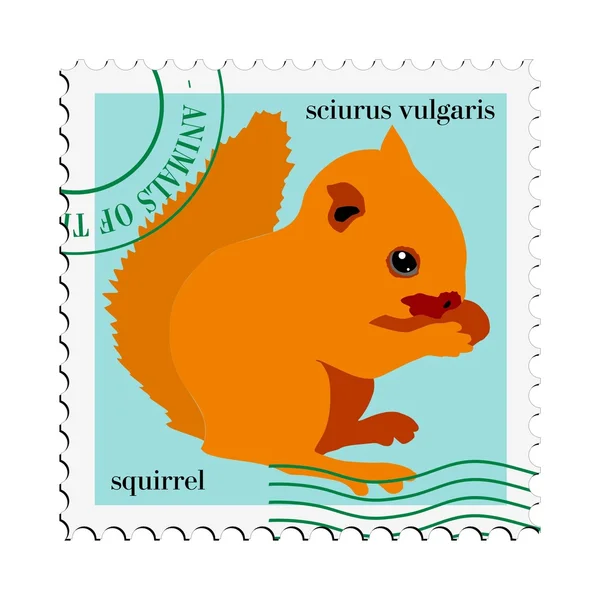 Vector stamp with squirrel — Stock Vector