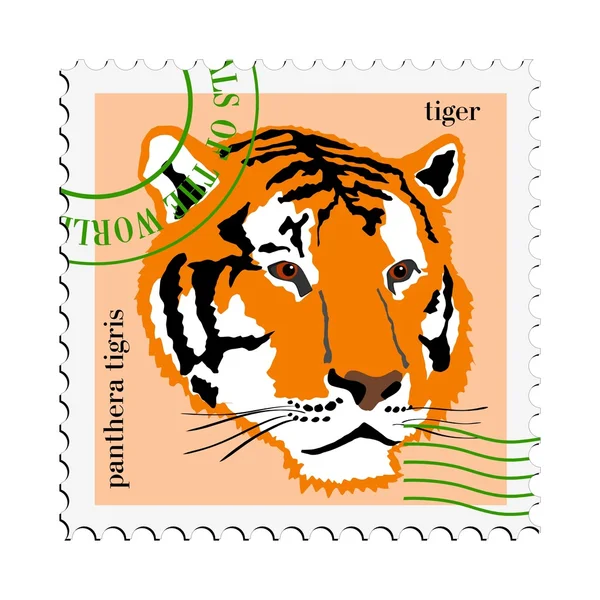 Leopar Vector pullar Vektörel çizim ©Perysty Vektörel 3350690