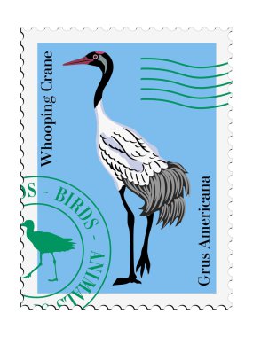 Vector stamp with Whooping Crane clipart