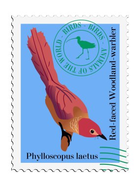 Vector stamp with warbler clipart