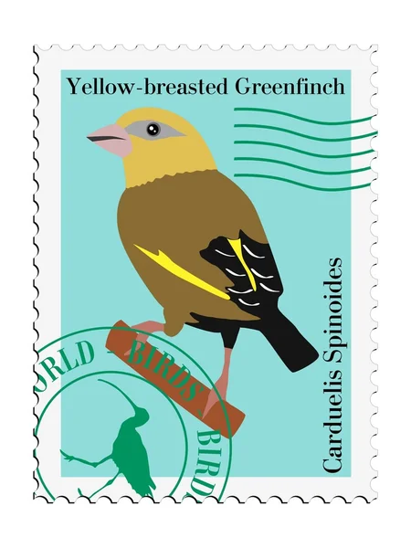 stock vector Vector stamp with Yellow-breasted Greenfinch