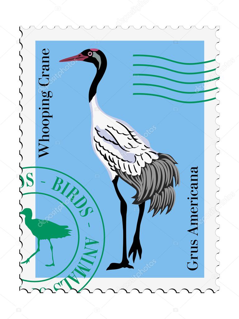 Vector stamp with Whooping Crane